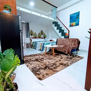 Apartment 138 Lily's House In City Center With Multi Rooms, Multi Prices, Ho Chi Minh City